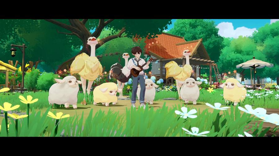 A rancher playing guitar among sheep and ostriches on Green Pasture Ranch